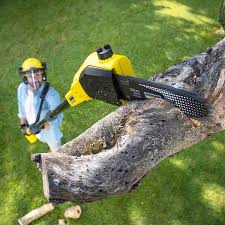 Best Lawn Pest Prevention  in Clovis, NM